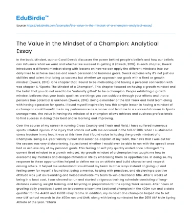 The Value in the Mindset of a Champion: Analytical Essay
