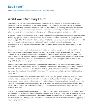 World War 1 Summary Essay