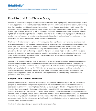 Pro-Life and Pro-Choice Essay