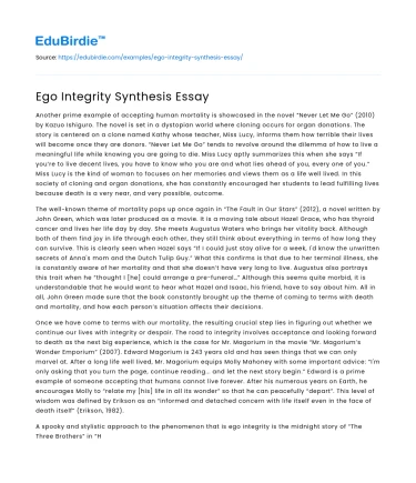 Ego Integrity Synthesis Essay