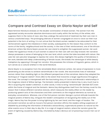 Compare and Contrast Essay on Gloria Naylor and Self