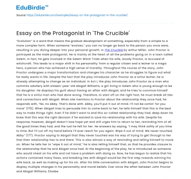 Essay on the Protagonist in ‘The Crucible’