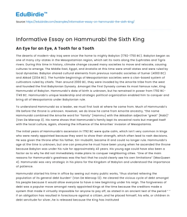 Informative Essay on Hammurabi the Sixth King