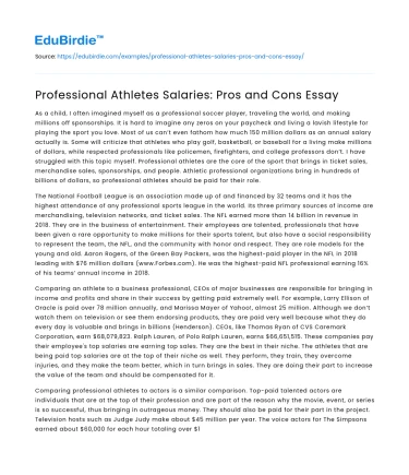 Professional Athletes Salaries: Pros and Cons Essay
