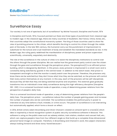 Surveillance Essay