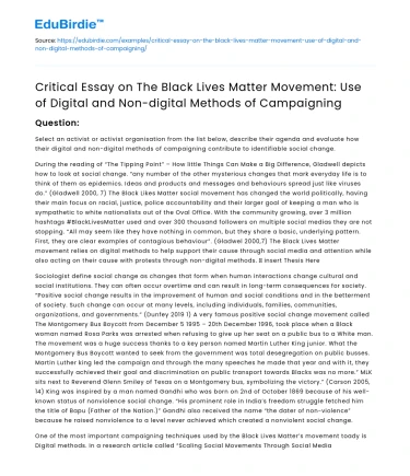 Analyzing the Impact of Black Lives Matter Campaigns