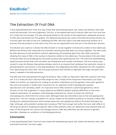 The Extraction Of Fruit DNA