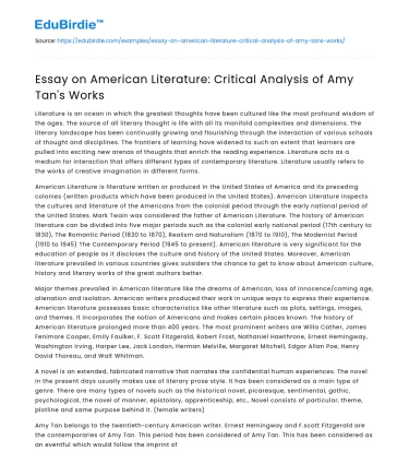 Cultural Identity in Amy Tan’s Literature