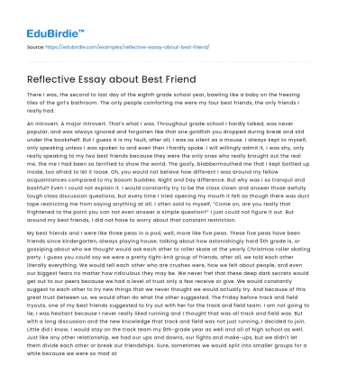 Reflective Essay about Best Friend