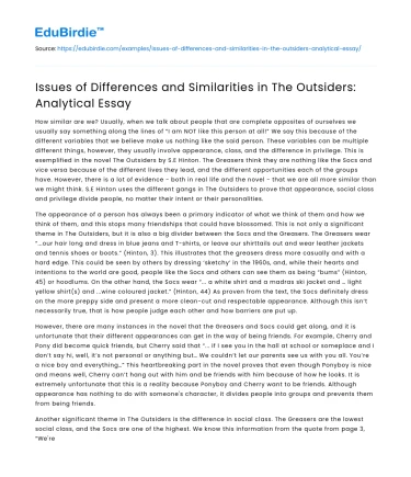 Issues of Differences and Similarities in The Outsiders