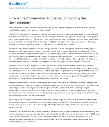 How is the Coronavirus Pandemic Impacting the Environment?