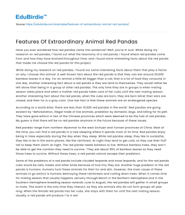 Features Of Extraordinary Animal Red Pandas