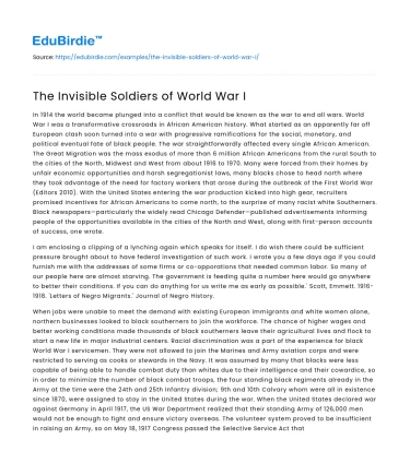 The Invisible Soldiers of World War I