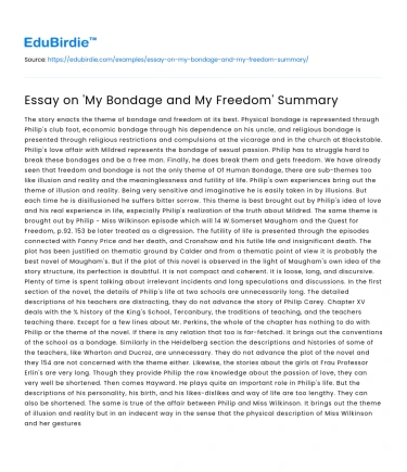 Essay on ‘My Bondage and My Freedom’ Summary