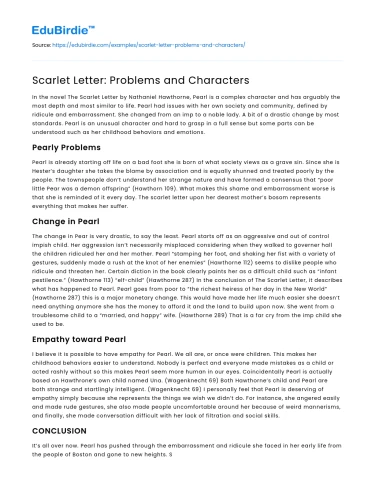 Scarlet Letter: Problems and Characters