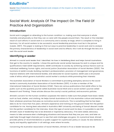 Impact of Social Work on Practice & Organization