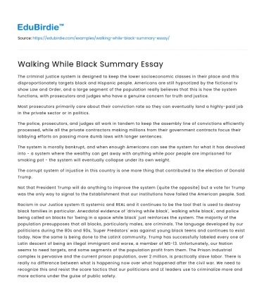 Walking While Black Summary Essay