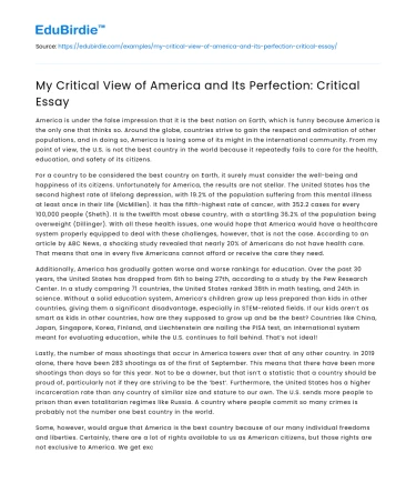 My Critical View of America and Its Perfection: Critical Essay