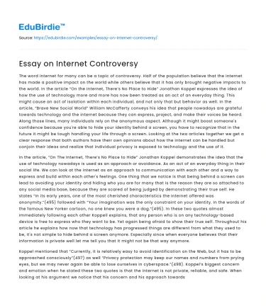 Essay on Internet Controversy