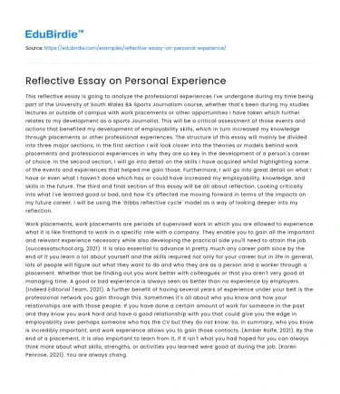 Reflective Essay on Personal Experience