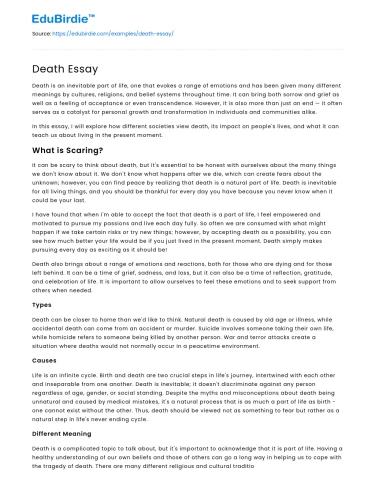 Death Essay