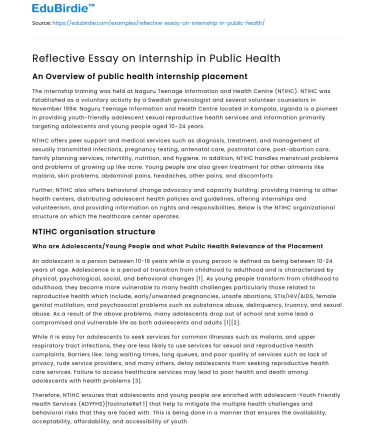 Reflective Essay on Internship in Public Health