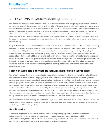 Utility Of DNA In Cross-Coupling Reactions