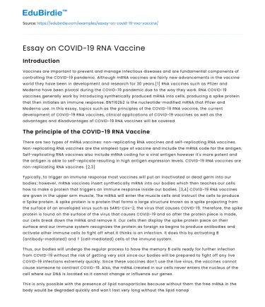 Essay on COVID-19 RNA Vaccine