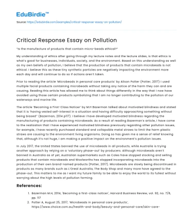 Critical Response Essay on Pollution