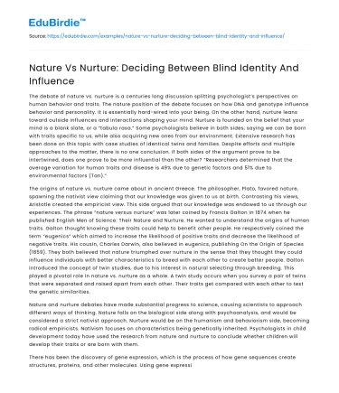 Nature Vs Nurture: Deciding Between Blind Identity And Influence