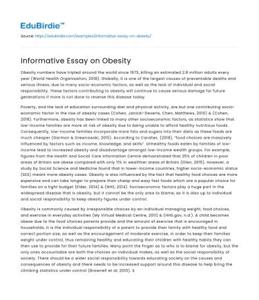 Informative Essay on Obesity