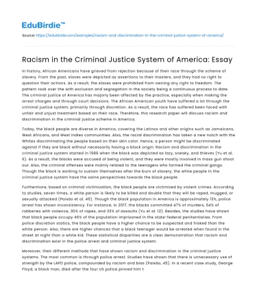 Racism in the Criminal Justice System of America: Essay