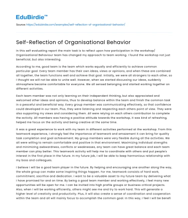 Self-Reflection of Organisational Behavior