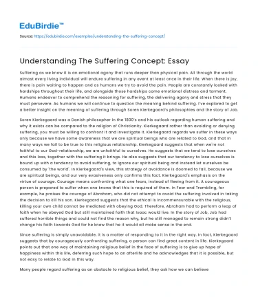 Understanding The Suffering Concept: Essay