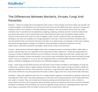 The Differences Between Bacteria, Viruses, Fungi And Parasites