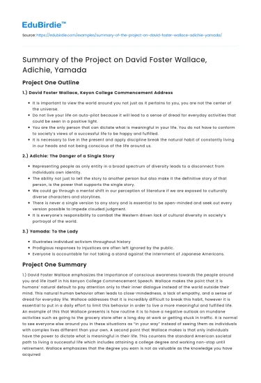 Summary of the Project on David Foster Wallace, Adichie, Yamada