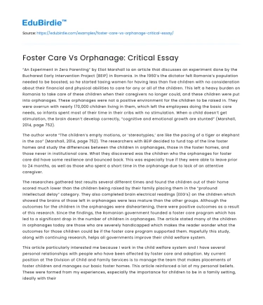 Foster Care Vs Orphanage: Critical Essay
