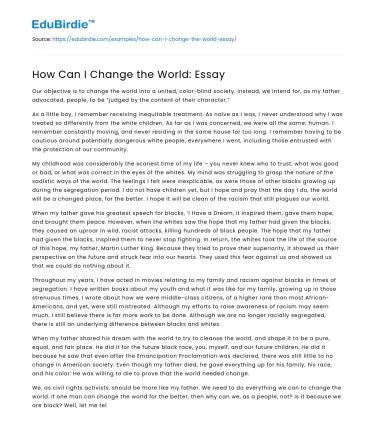 How Can I Change the World: Essay