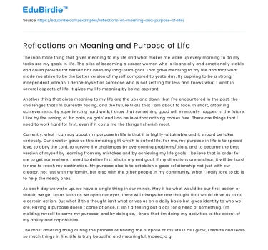 Reflections on Meaning and Purpose of Life