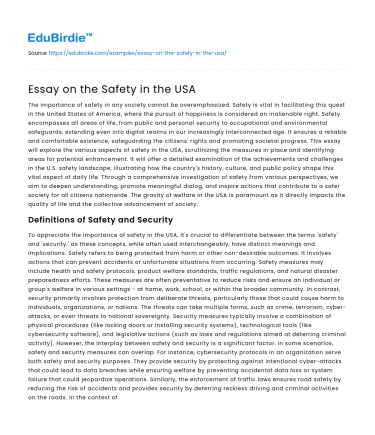 Essay on the Safety in the USA