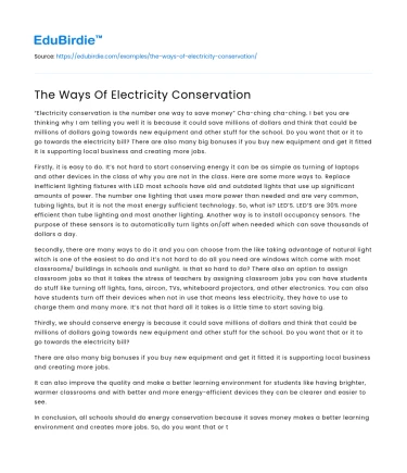 Effective Strategies for Conserving Electricity