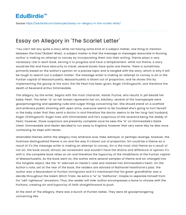 Essay on Allegory in ‘The Scarlet Letter’