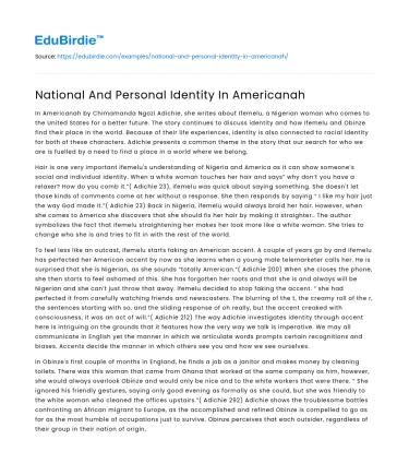 National And Personal Identity In Americanah