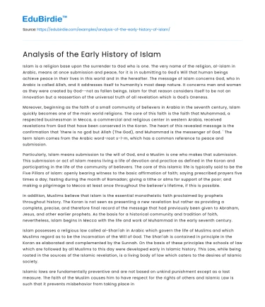Analysis of the Early History of Islam
