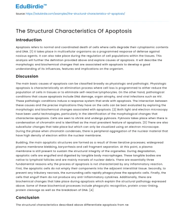 The Structural Characteristics Of Apoptosis