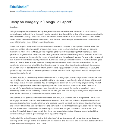 Essay on Imagery in ‘Things Fall Apart’