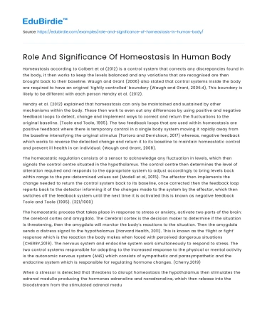 Role And Significance Of Homeostasis In Human Body