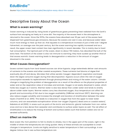 Descriptive Essay About the Ocean
