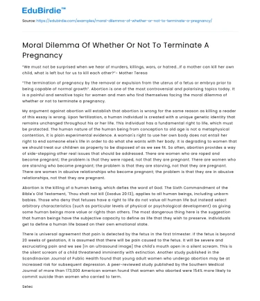 Moral Dilemma Of Whether Or Not To Terminate A Pregnancy