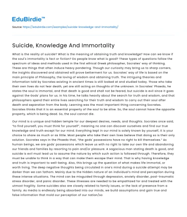 Suicide, Knowledge And Immortality